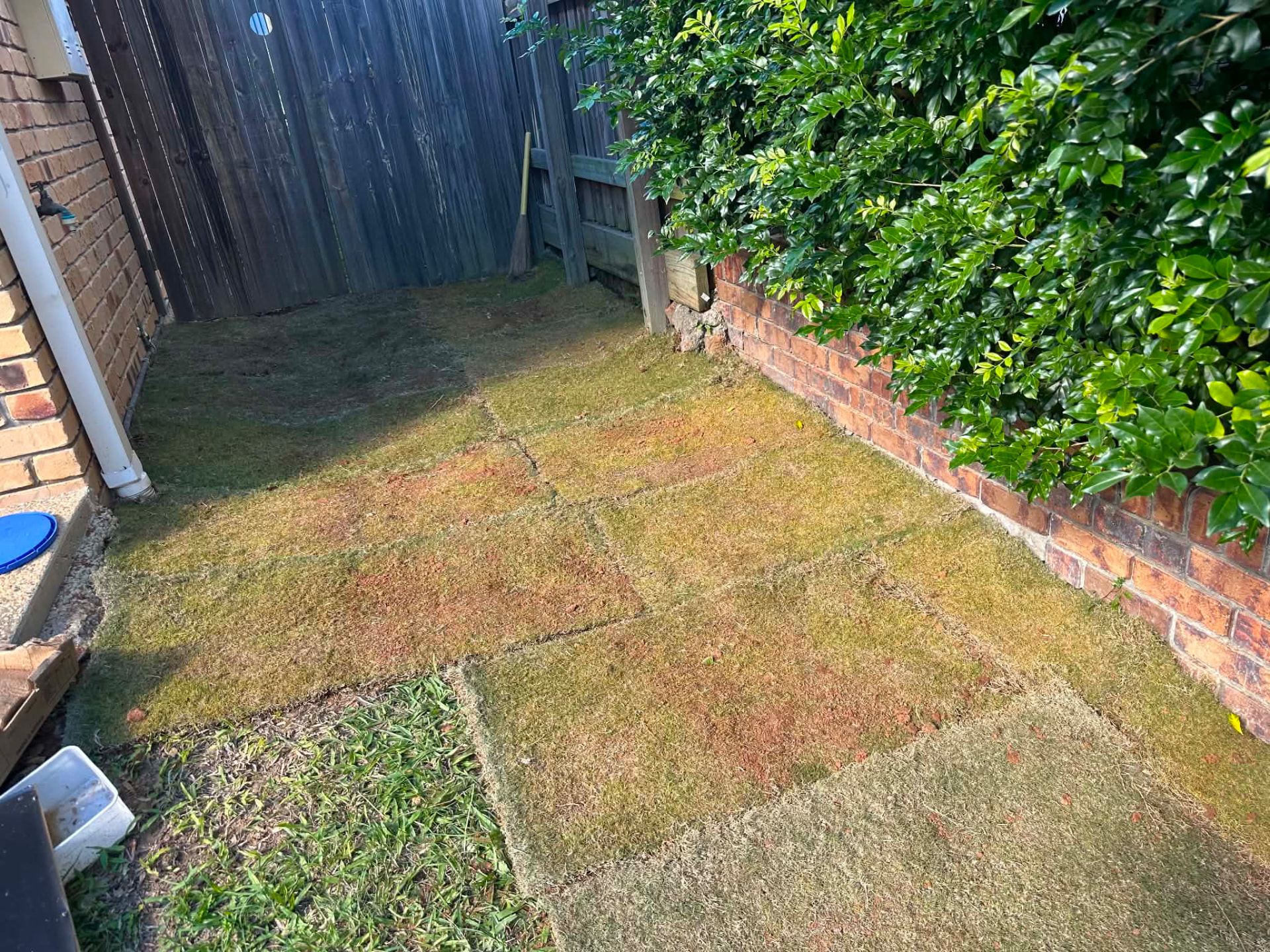 Freshly laid turf in a tidy side yard between brick wall and fence